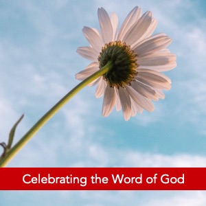 Celebrating the Word of God 